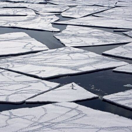 Rohit Sharma Said Varun Chakravarthy “Bowls Only One Variety”, Spinner Gives Smashing Reply | Cricket News