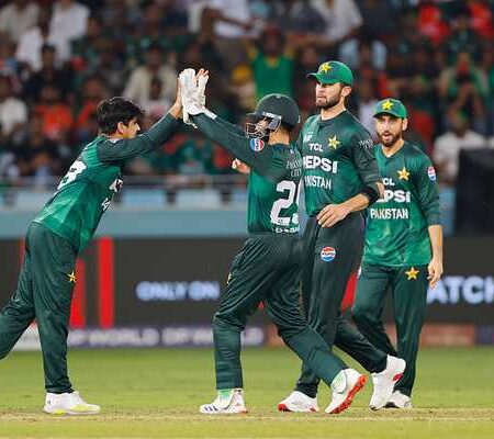 अमेरिकी क्रिकेट की उथल-पुथल: बोर्ड में खींचतान, दिवालियापन का खतरा और खिलाड़ियों का अनिश्चित भविष्य