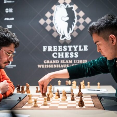 साउथ अफ्रीका में फ़्रीस्टाइल शतरंज फ़ाइनल: ‘डाइविंग शतरंज’ से भव्य पब्लिक व्यूइंग तक, क्या है यह नया खेल?